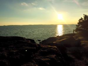 12088566_956853204375909_8489054930053617090_n